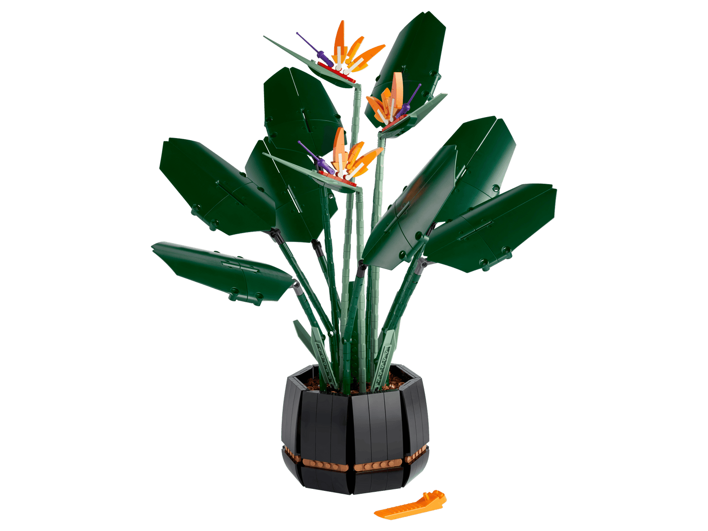 10289 Bird Of Paradise