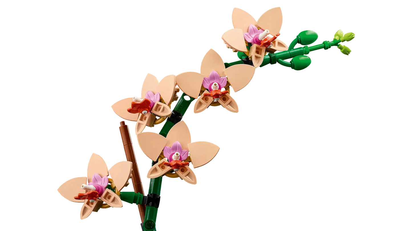 10343 Mini Orchid