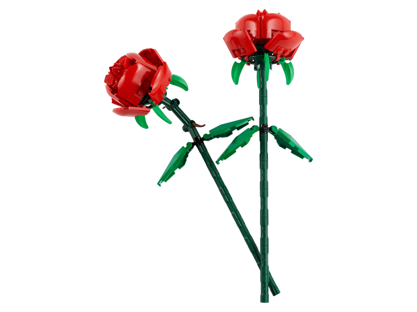 40460 Roses