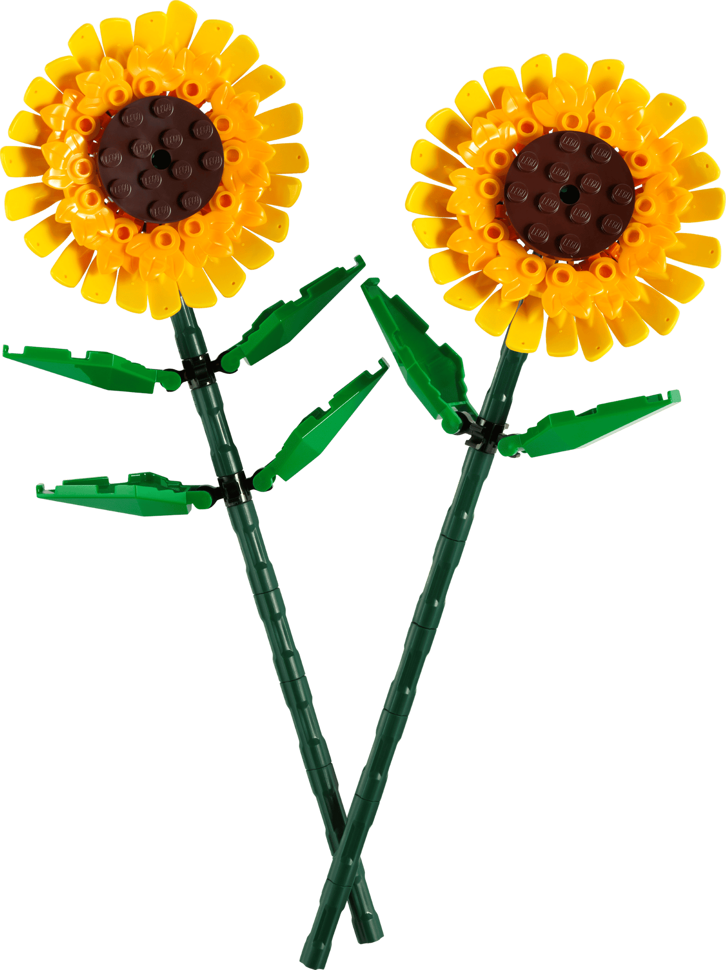 40524 Sunflowers