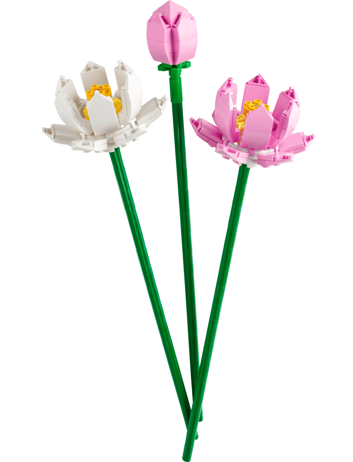 40647 Lotus Flower