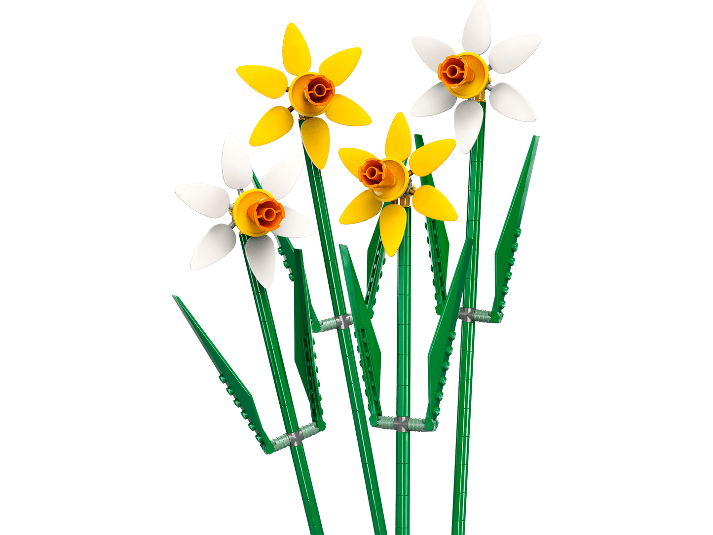 40747 Daffodils