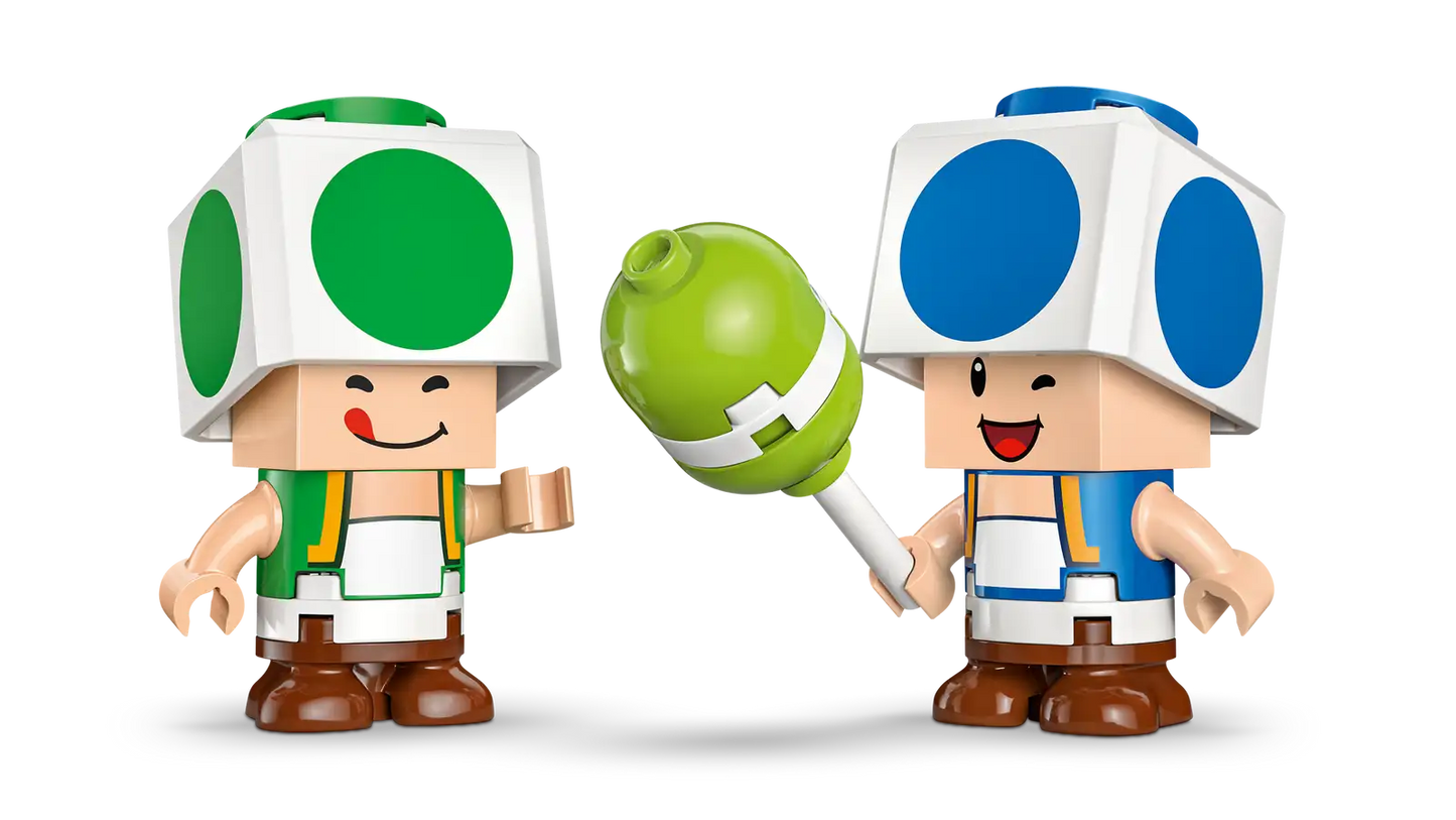 72041 Party At Toads House