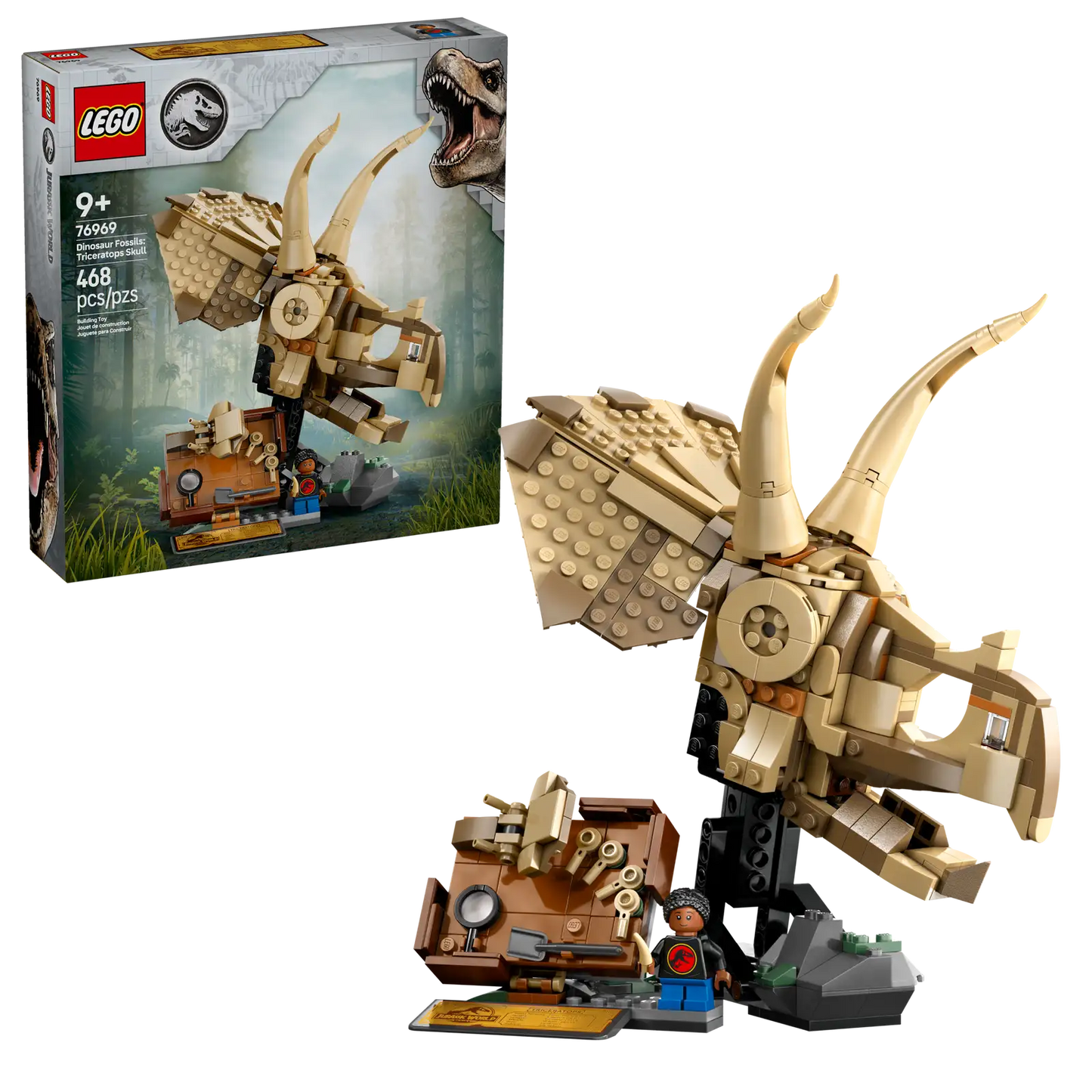 76969 Dinosaur Fossils : Triceratops Skull
