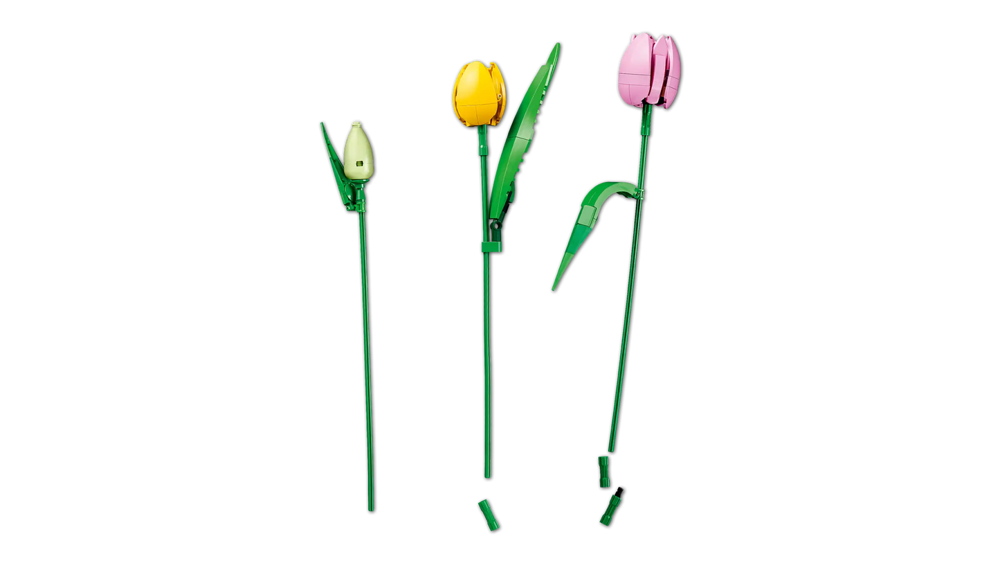 11501 Tulip Bouquet