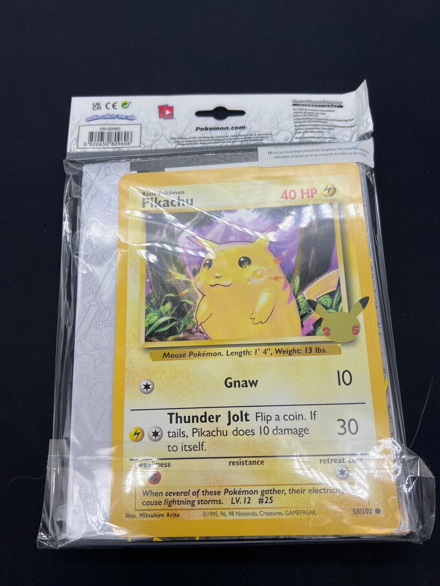Auction Lot 276: Pokemon Card Pikachu First Partner Collector's Binder Sealed