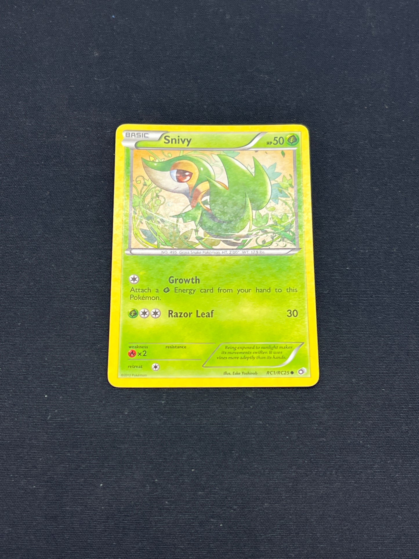 Auction Lot 255: Pokemon Cards Snivy Radiant Collection Conditions Vary