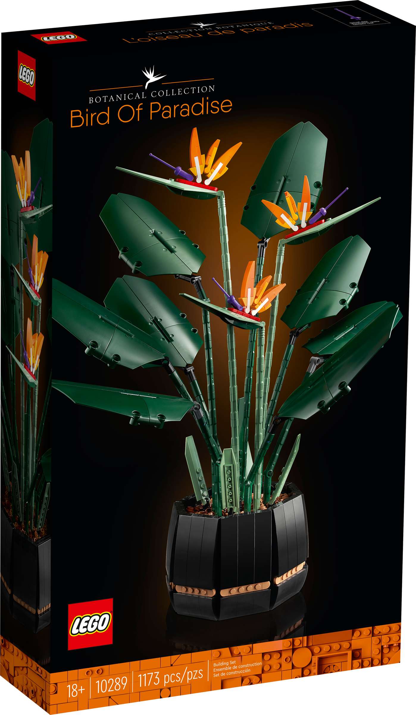 10289 Bird Of Paradise