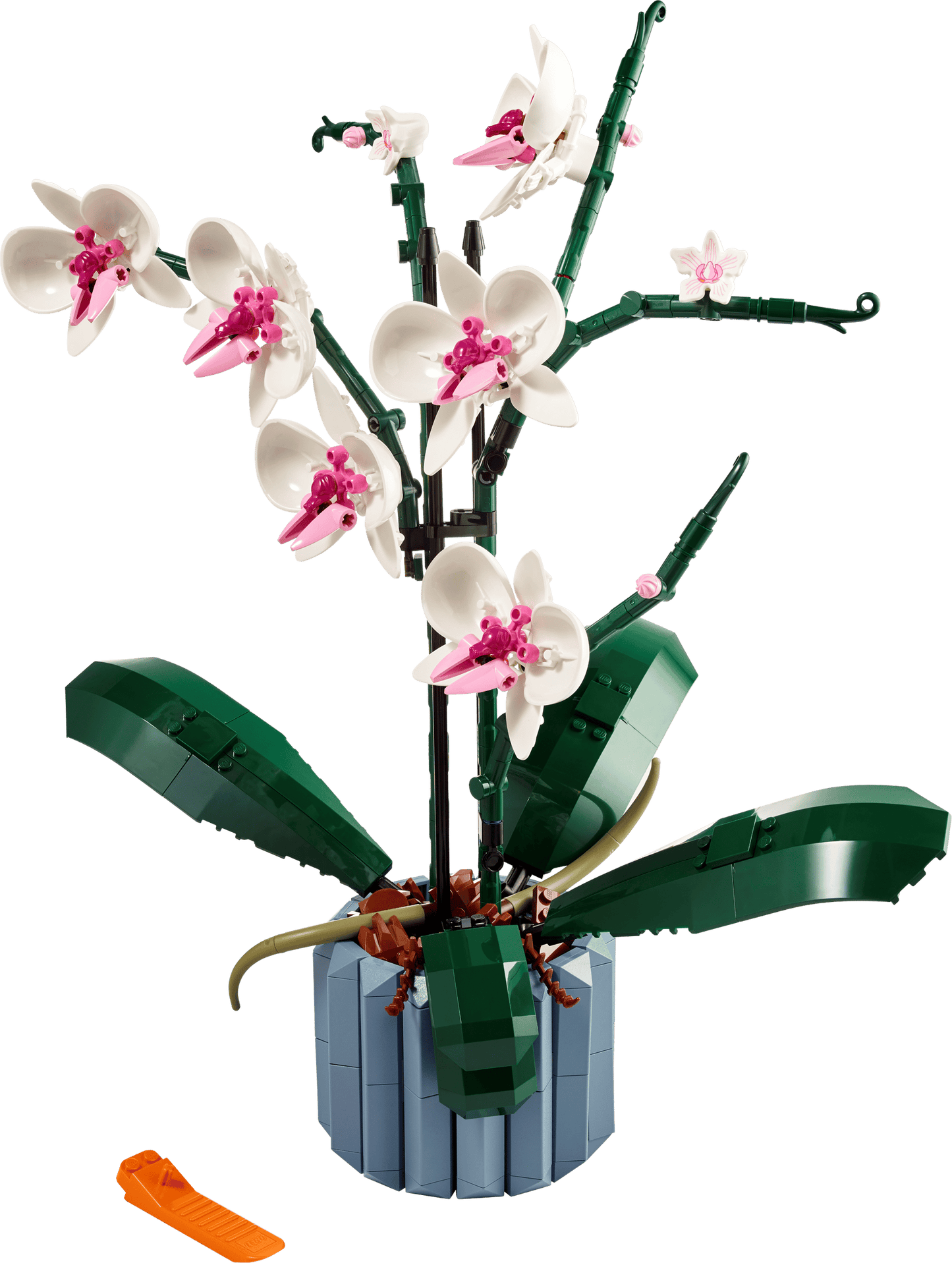 10311 Orchid