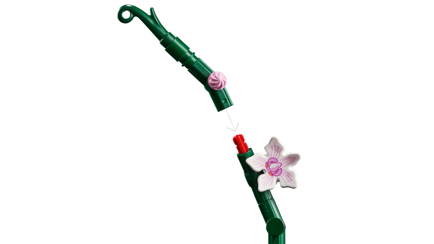10311 Orchid