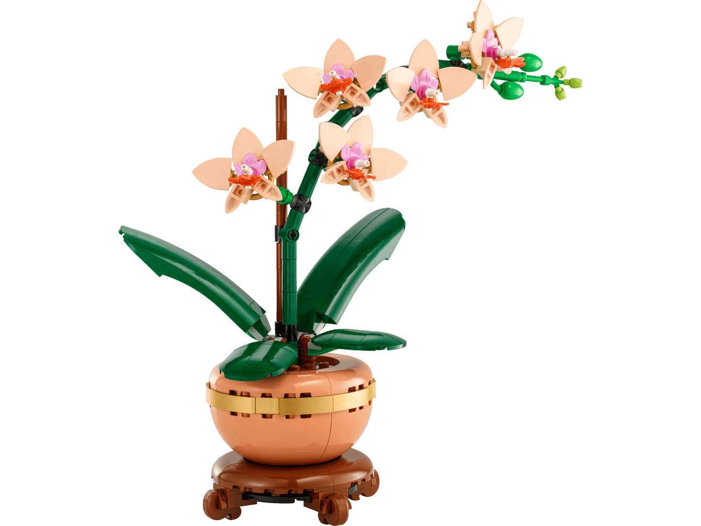 10343 Mini Orchid