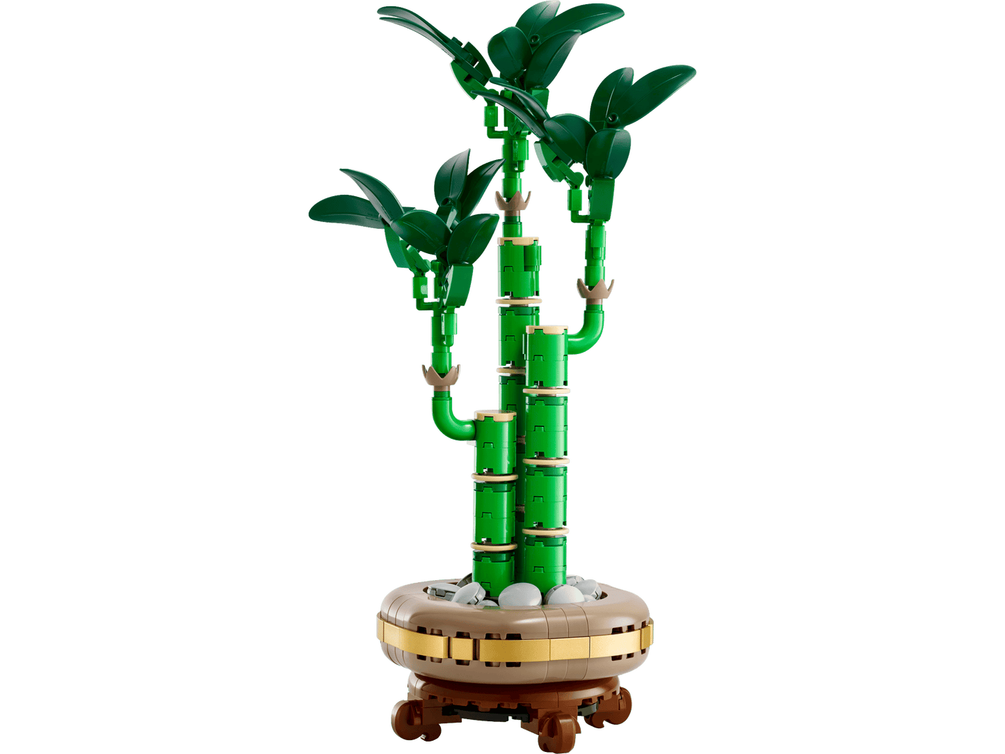 10344 Lucky Bamboo