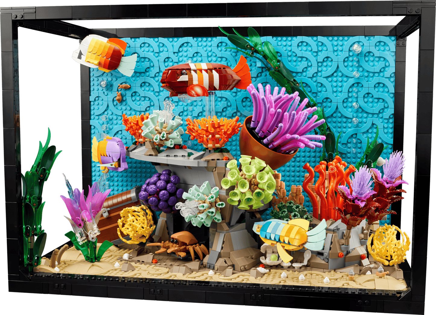 10366 Tropical Aquarium