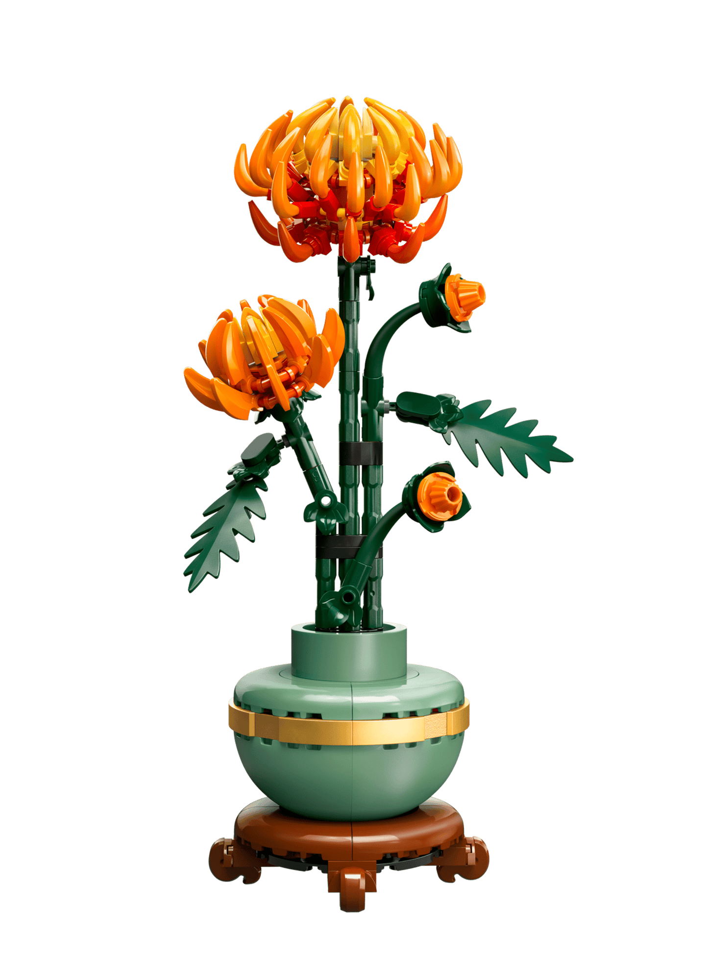10368 Chrysanthemum