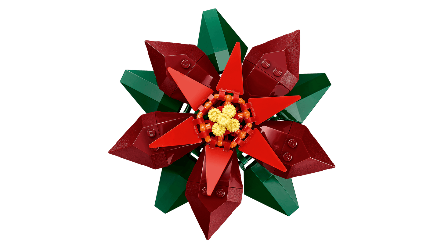 10370 Poinsettia