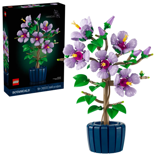 Hibiscus 10372