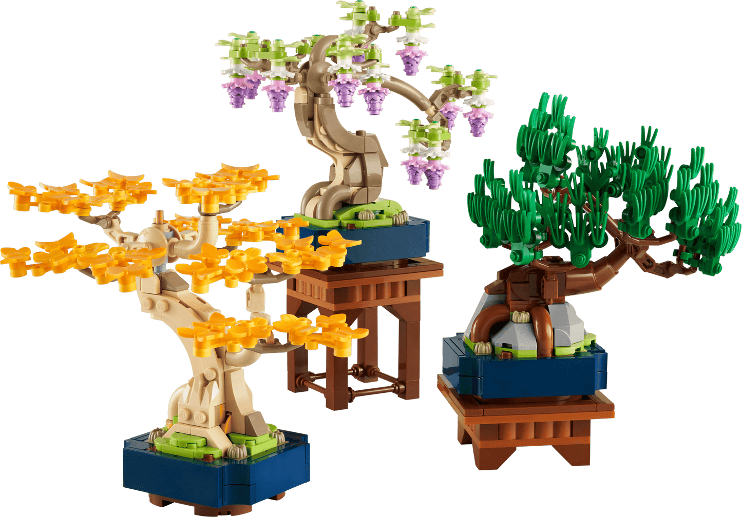 10373 Mini Bonsai Trees