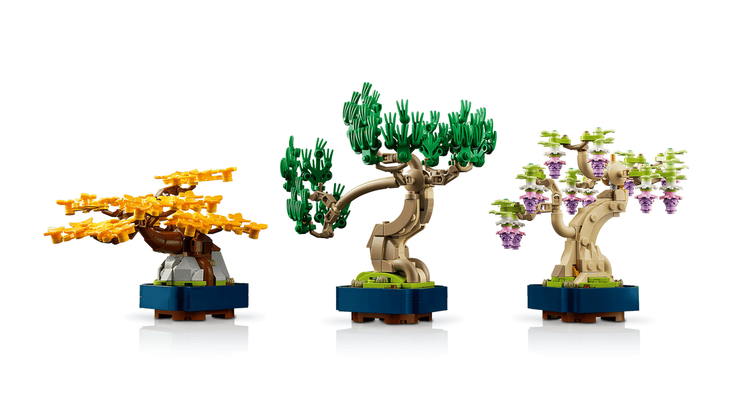 10373 Mini Bonsai Trees