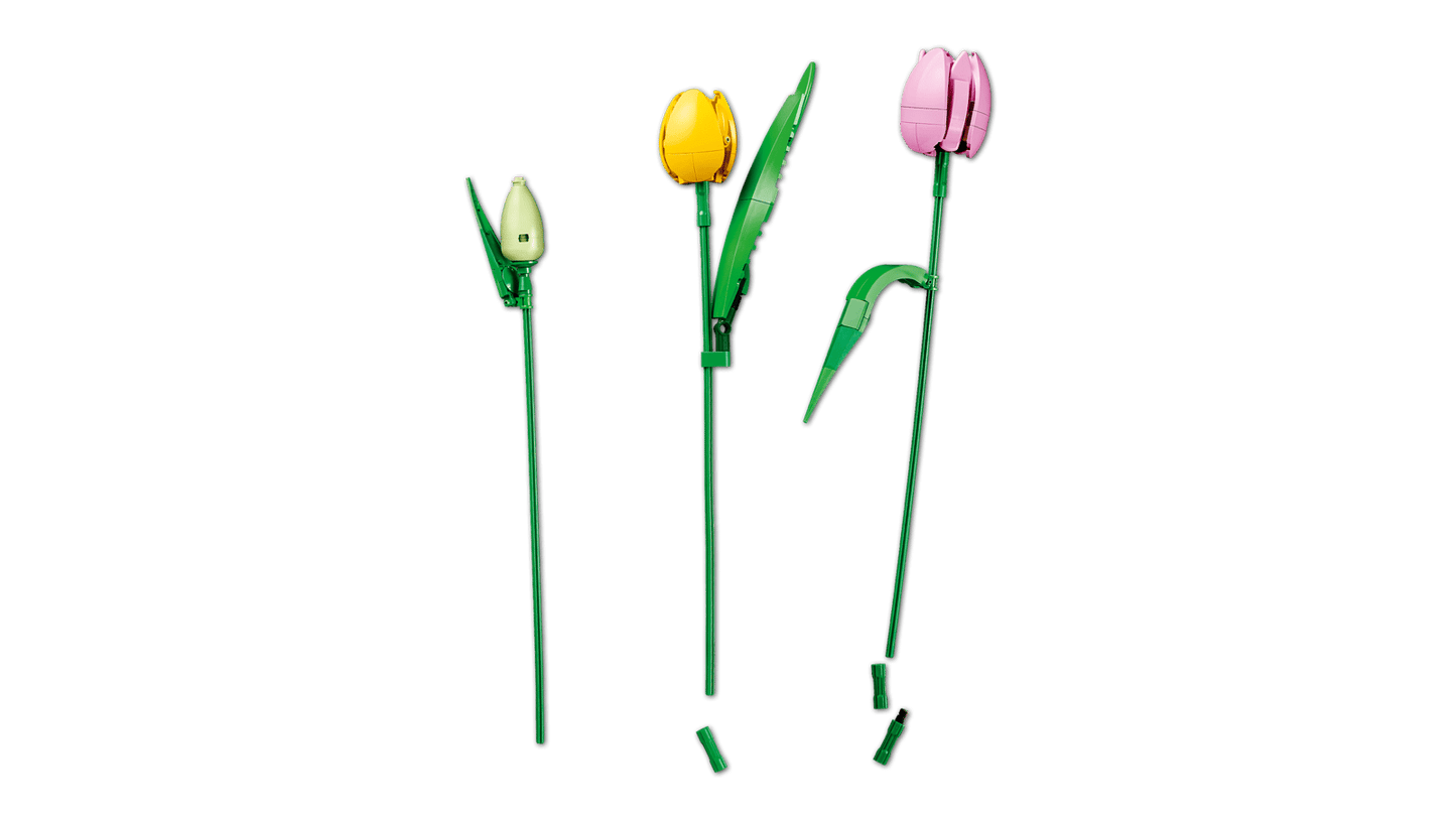 11501 Tulip Bouquet