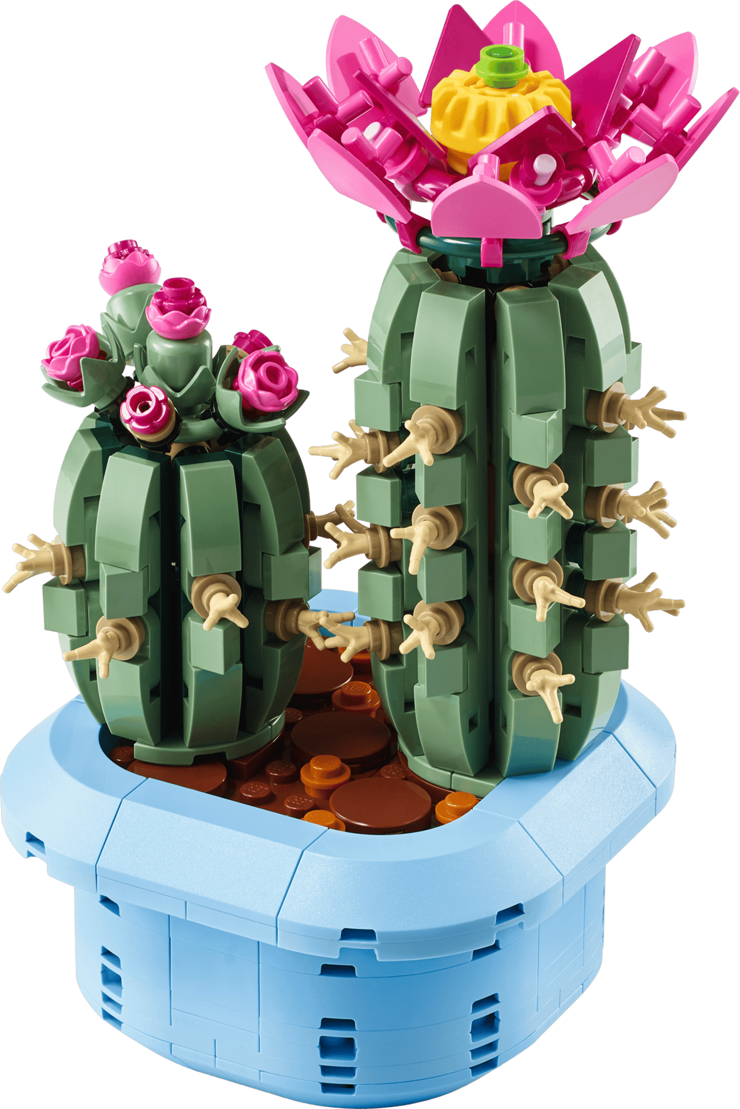 11509 Flower Cactus