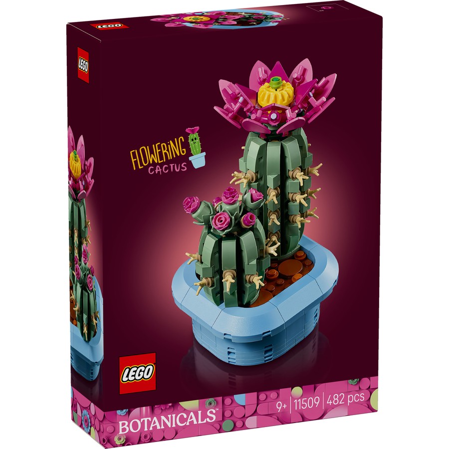 11509 Flower Cactus