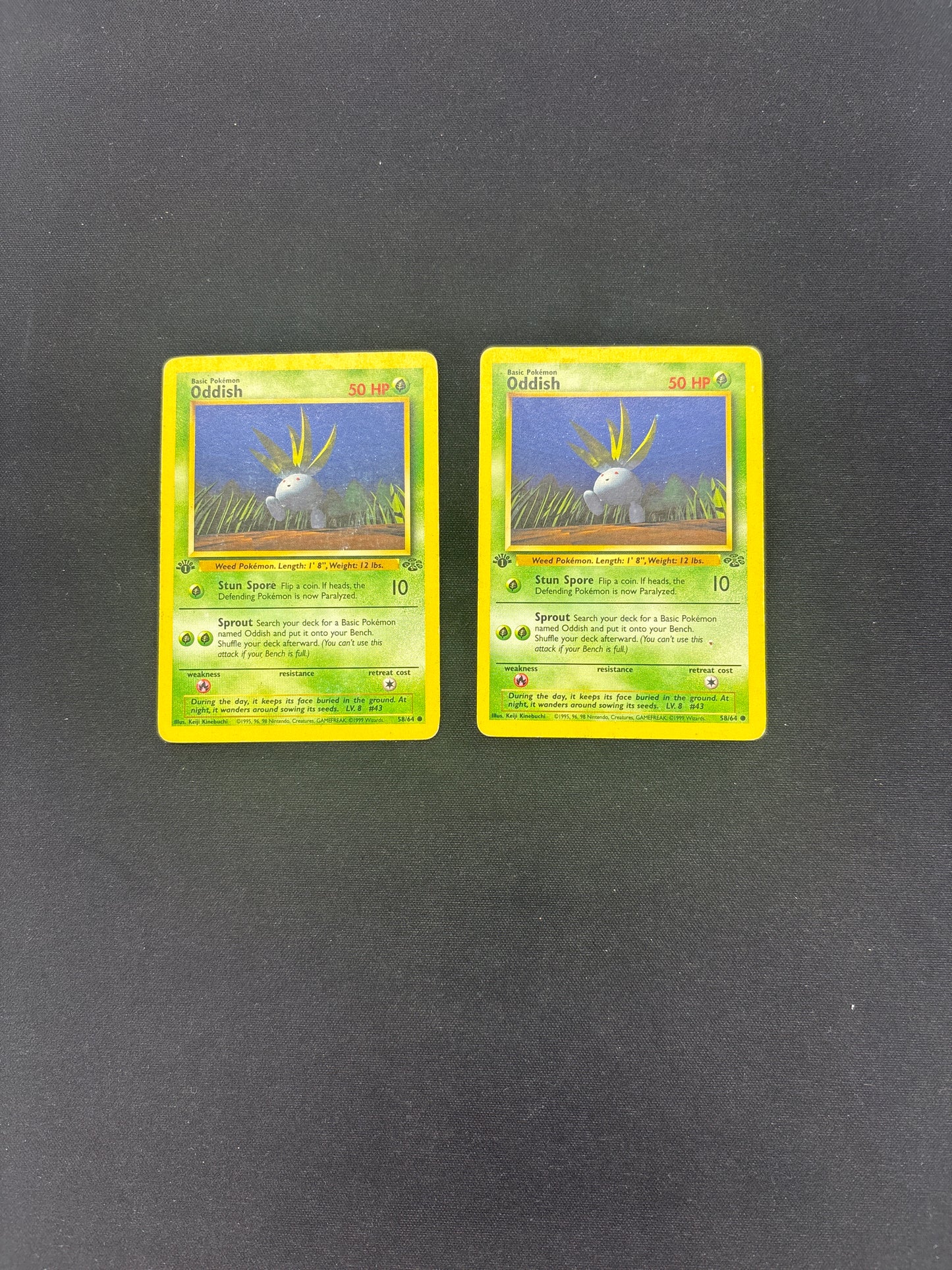Auction Lot 13: Pokemon Cards Lot of 2 Oddish Jungle Conditions Vary