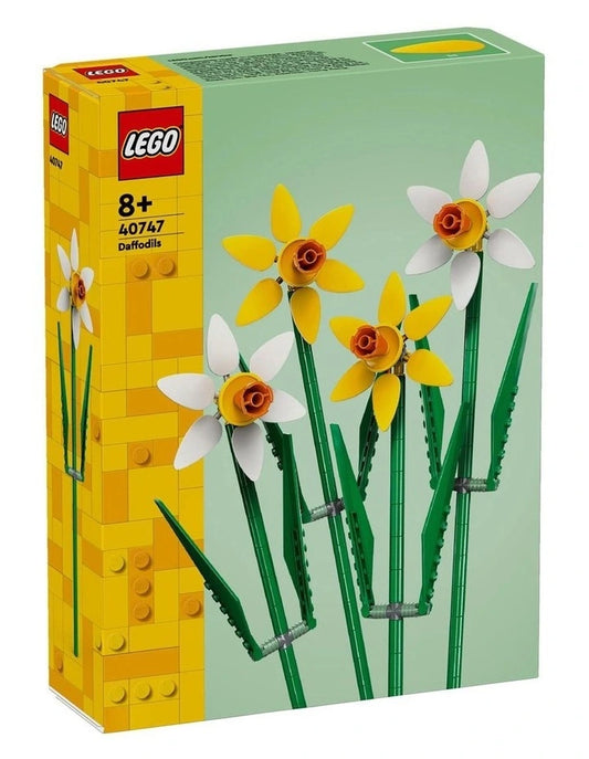 40747 Daffodils