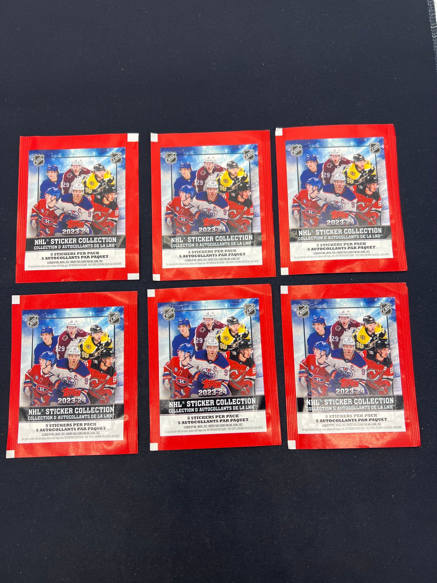 Auction Lot 74: NHL Sticker Collection 2023-2024 Lot of 6 Lot 1
