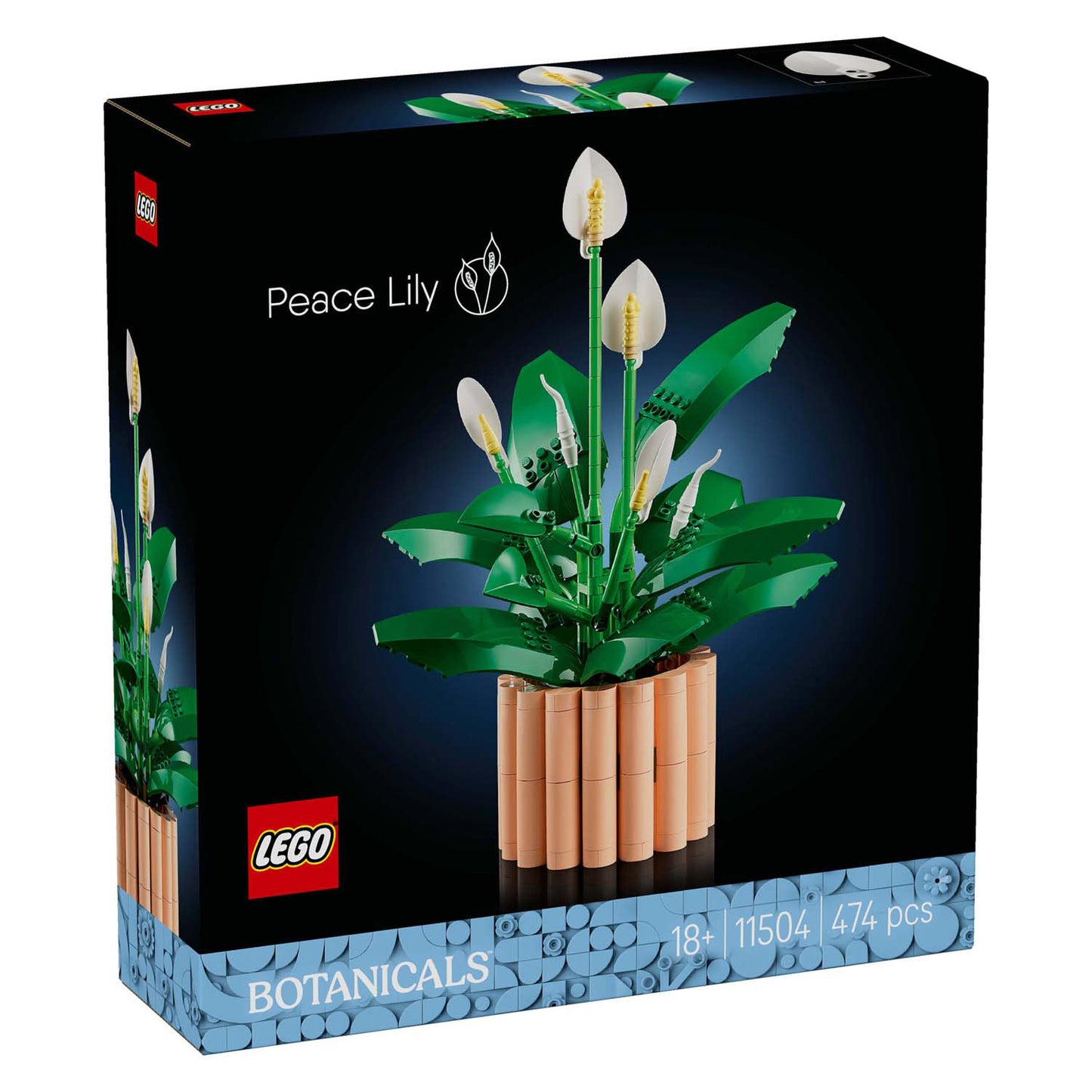 11504 Peace Lily