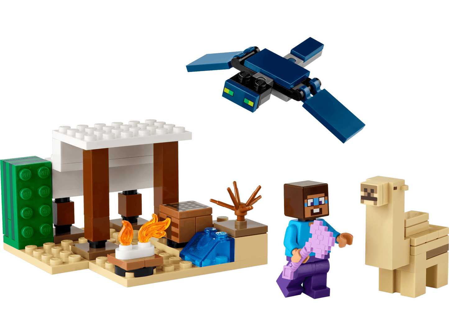 21251 Steve's Desert Expedition