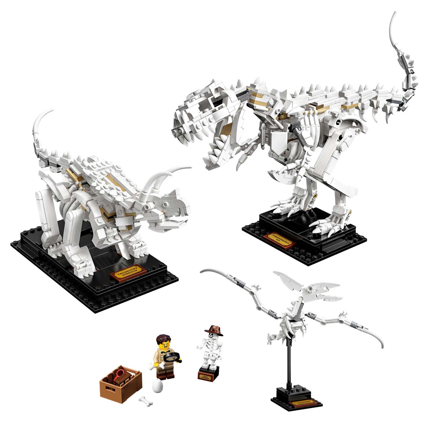 21320 Dinosaur Skeletons