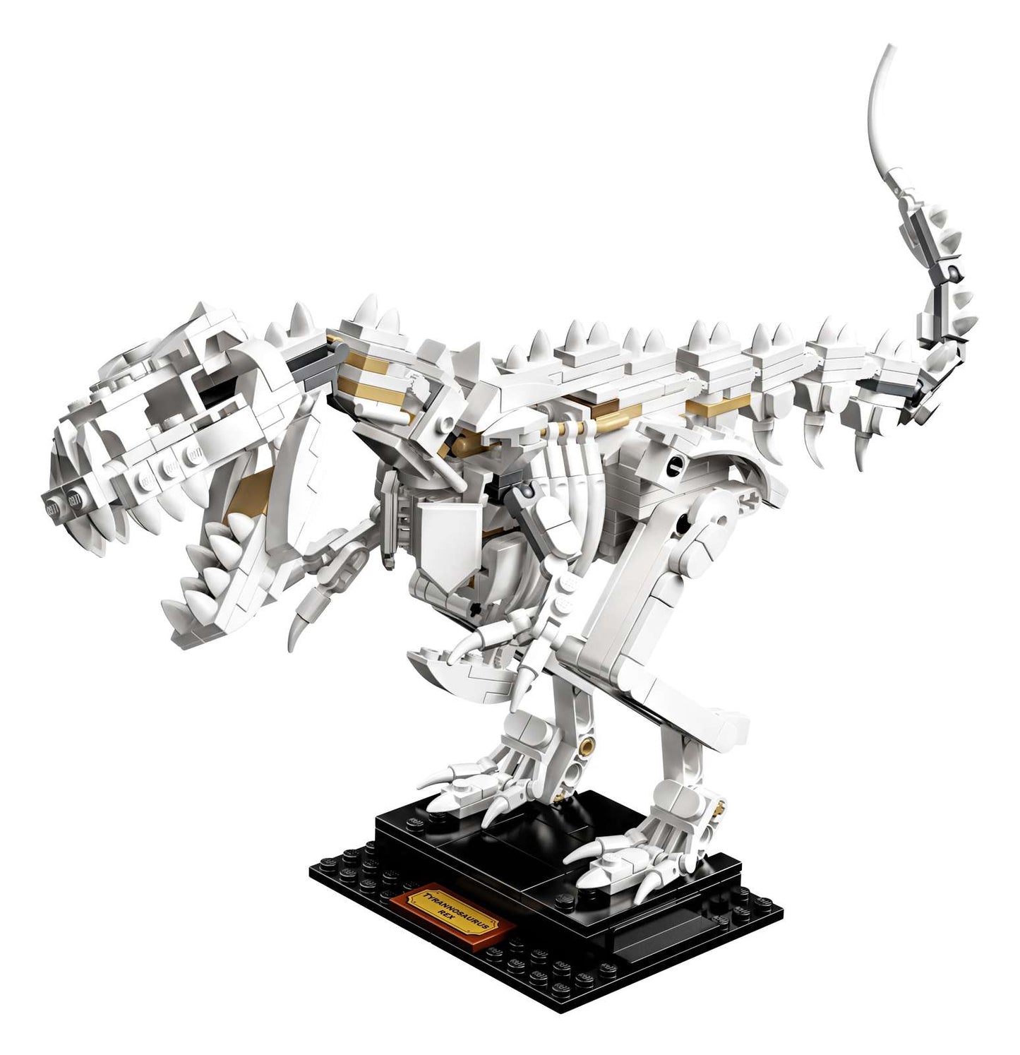 21320 Dinosaur Skeletons