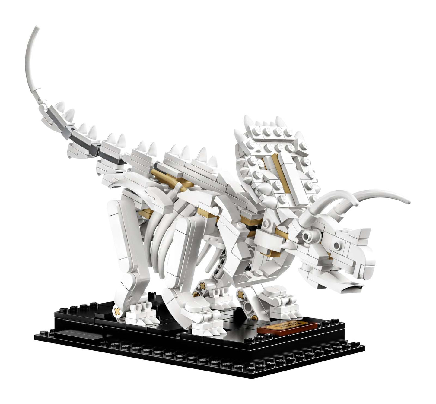 21320 Dinosaur Skeletons