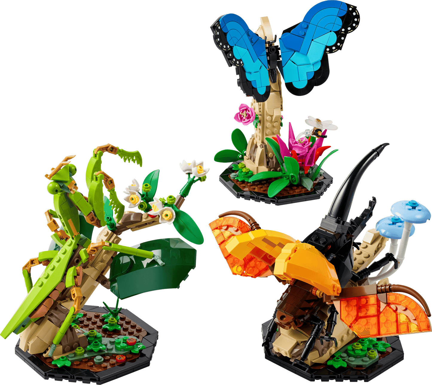 21342 The Insect Collection
