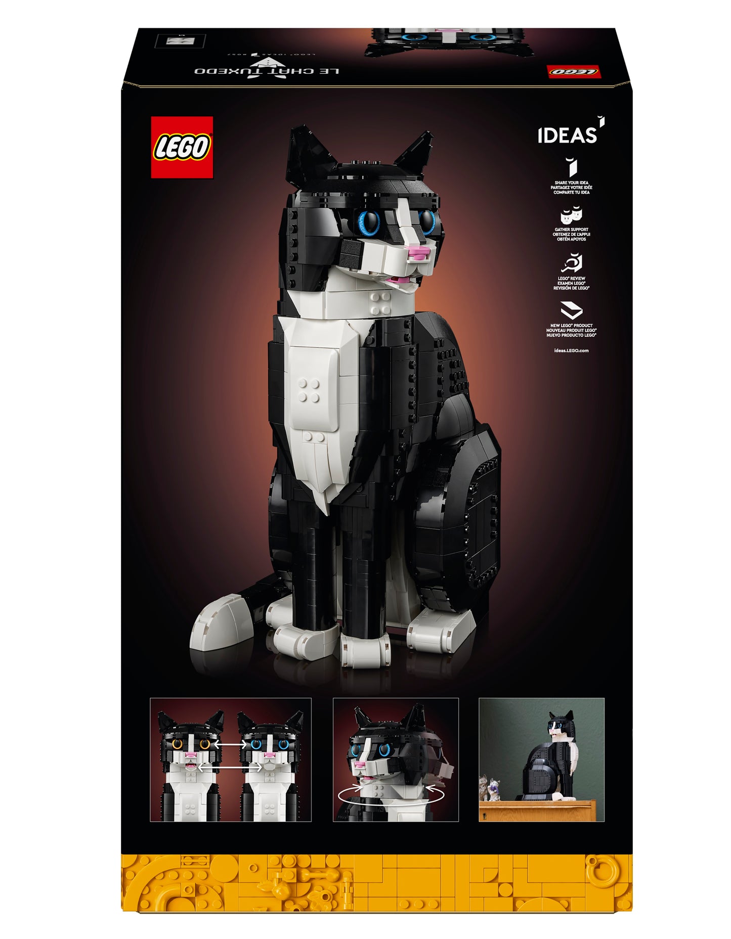 21349 Tuxedo Cat