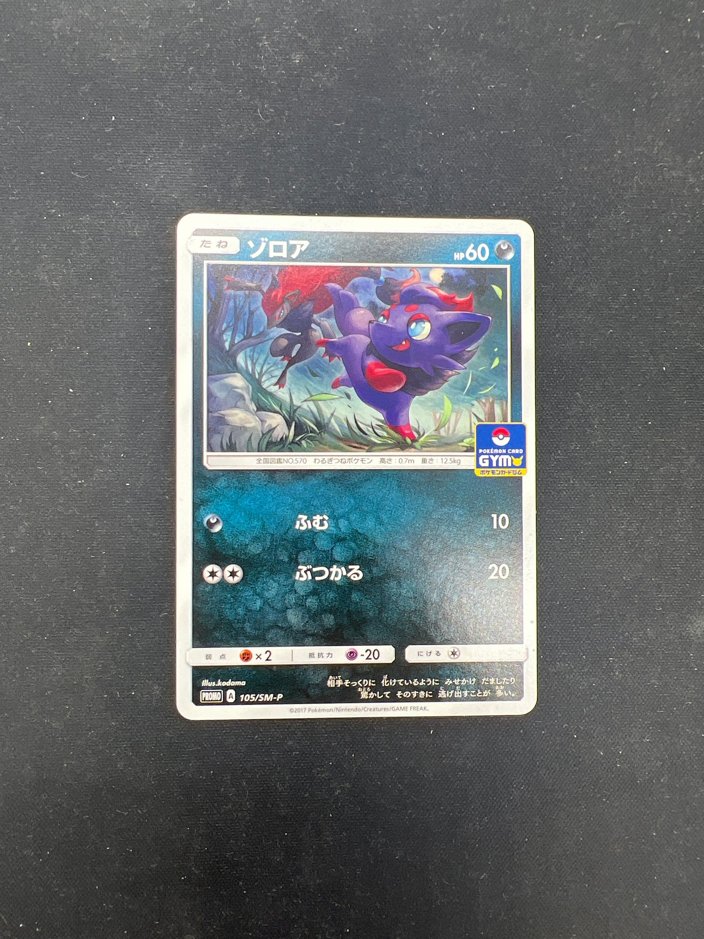 Auction Lot 185: Pokemon Cards Japanese Zorua Gym League Card Condition Vary