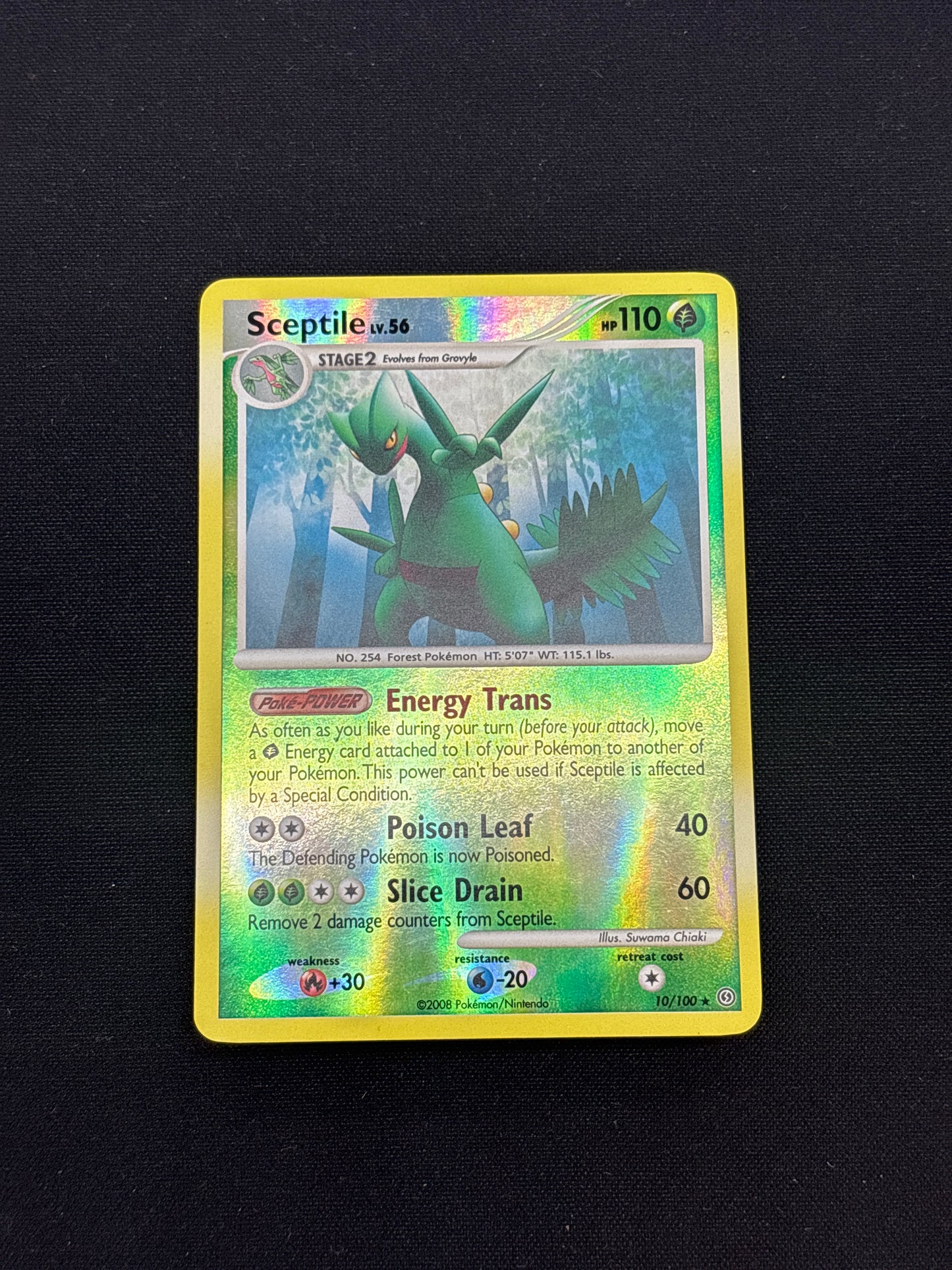 Auction Lot 188: Pokemon Cards Sceptile Mid Era Reverse Holo Conditions Vary