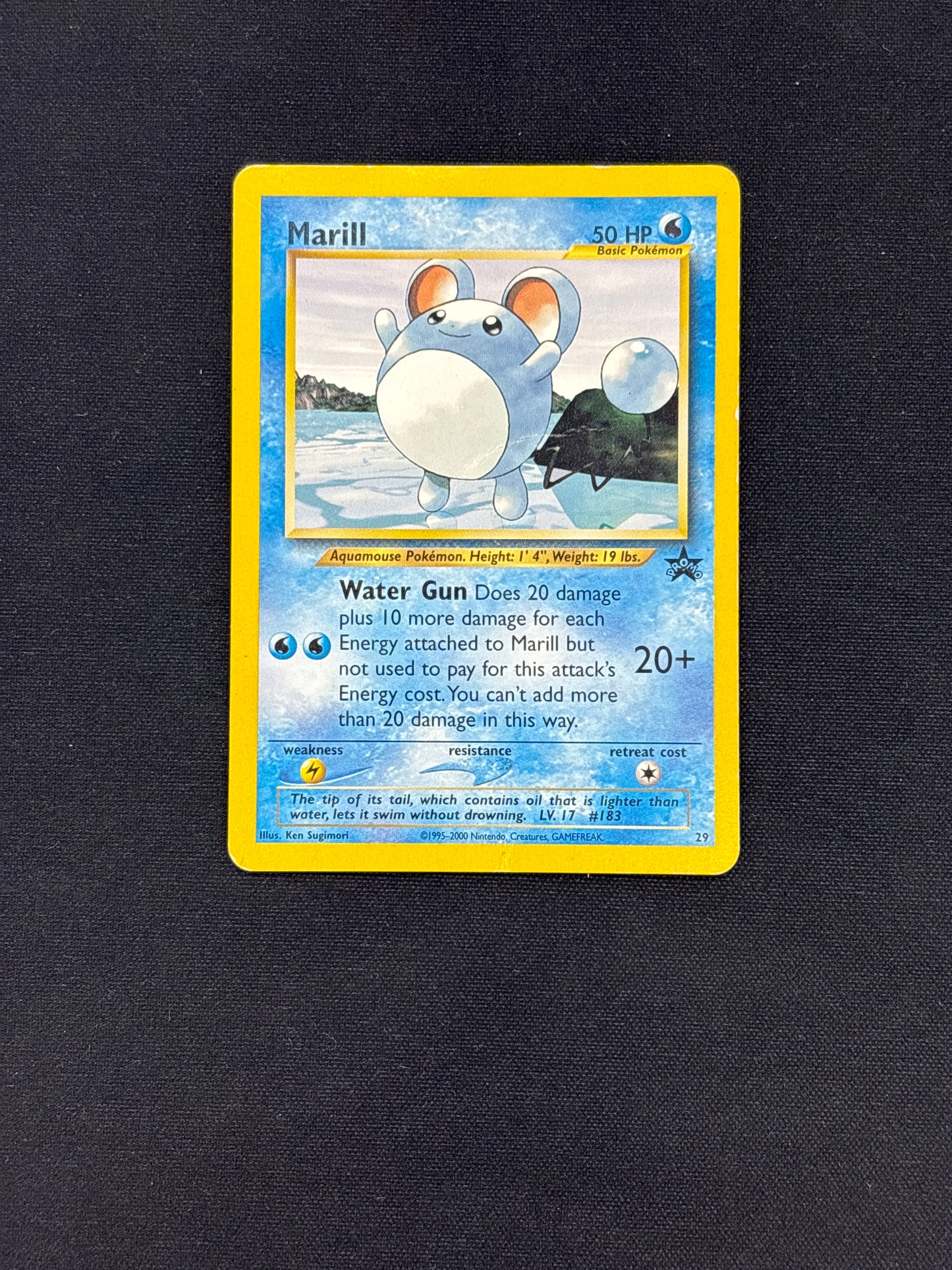 Auction Lot 88: Pokemon Card Marill WOTC Black Star Promo Conditions Vary