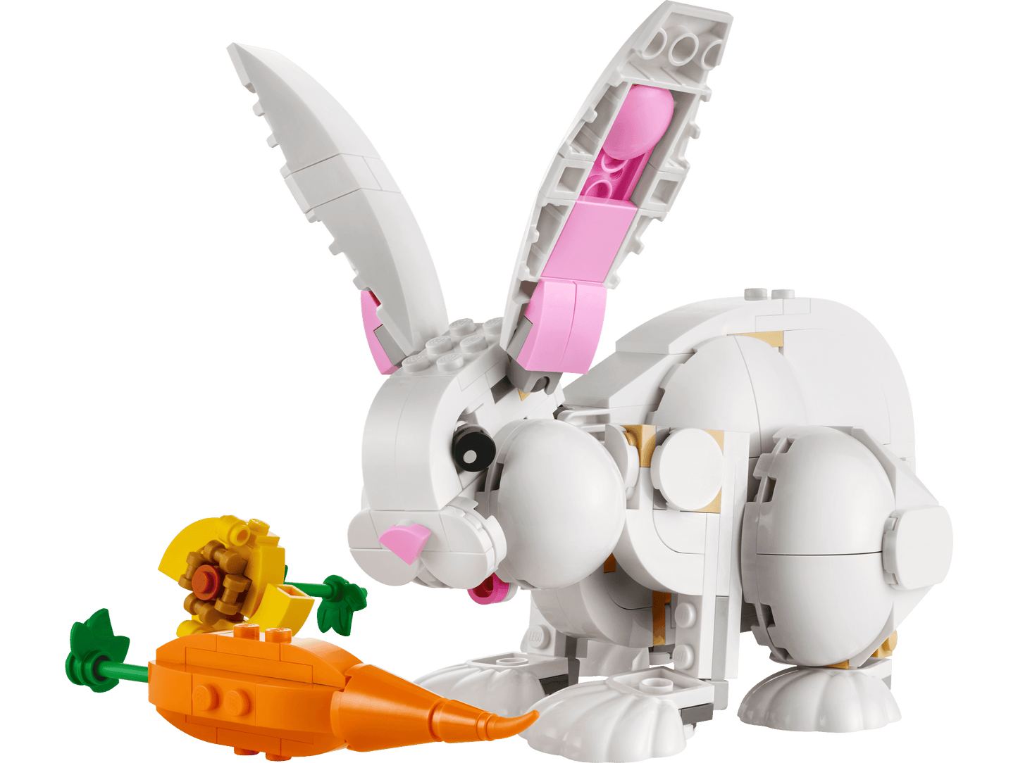 31133 White Rabbit