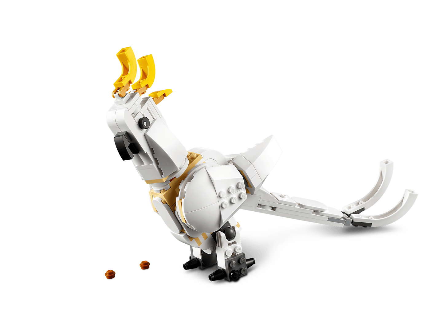 31133 White Rabbit