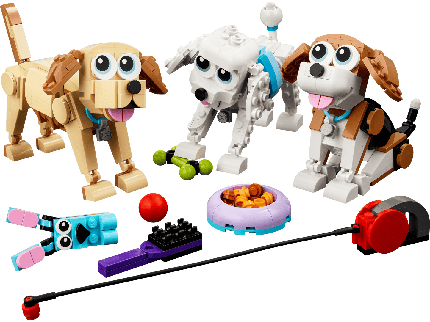 31137 Adorable Dogs