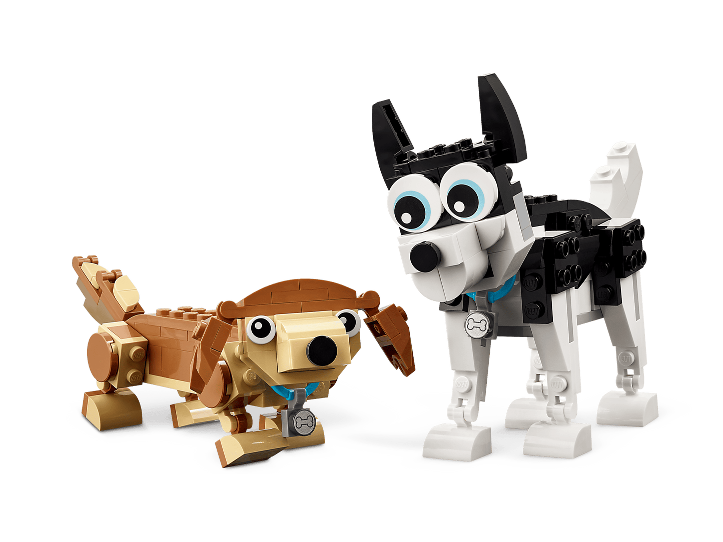 31137 Adorable Dogs