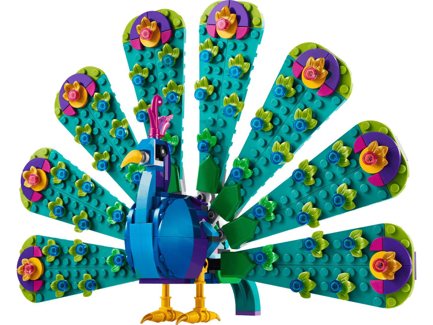 31157 Exotic Peacock