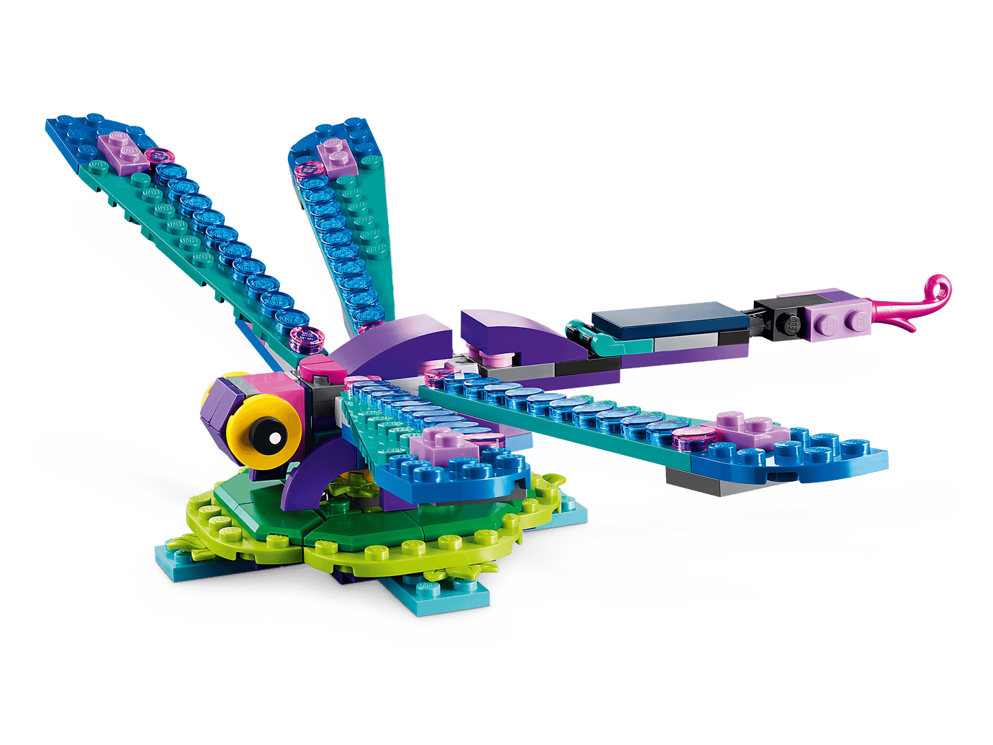 31157 Exotic Peacock