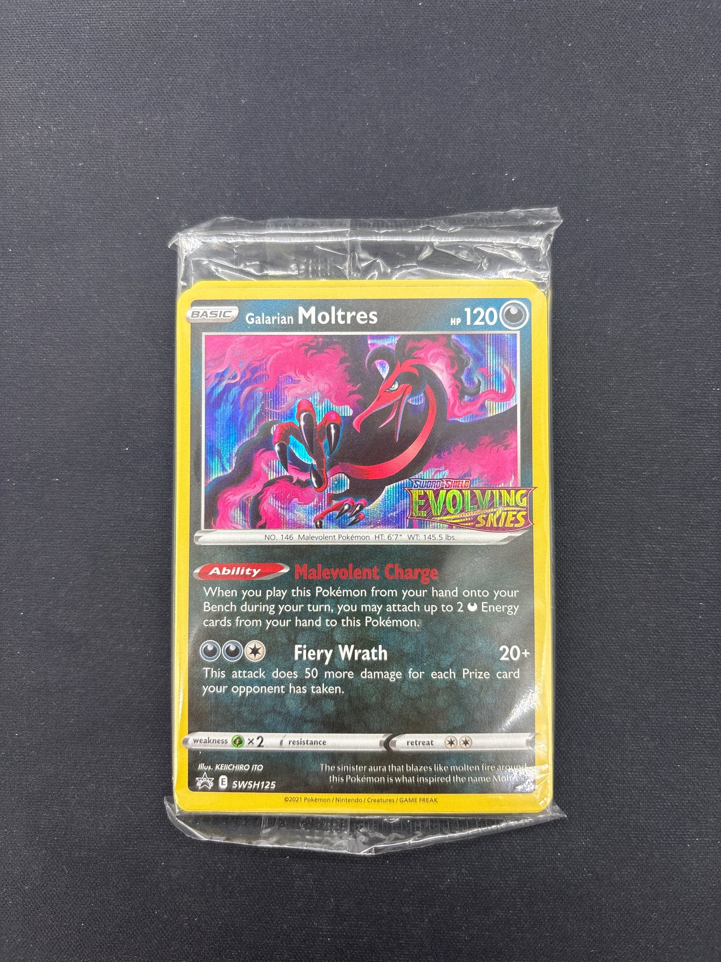 Auction Lot 373: Pokemon Evolving Skies Build and Battle Galarian Moltres Deck Sealed