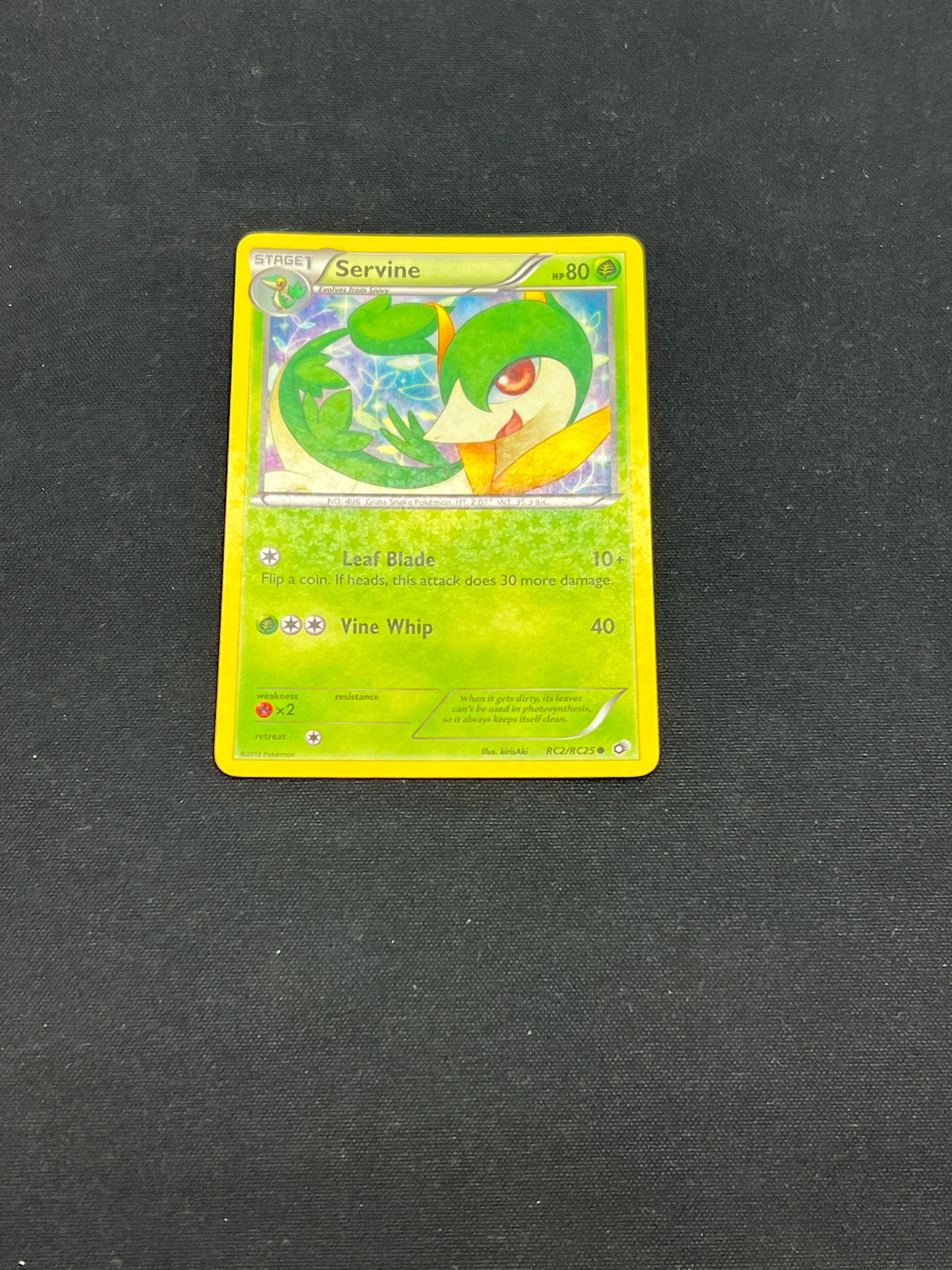 Auction Lot 254: Pokemon Cards Servine Radinat Collection Conditions Vary