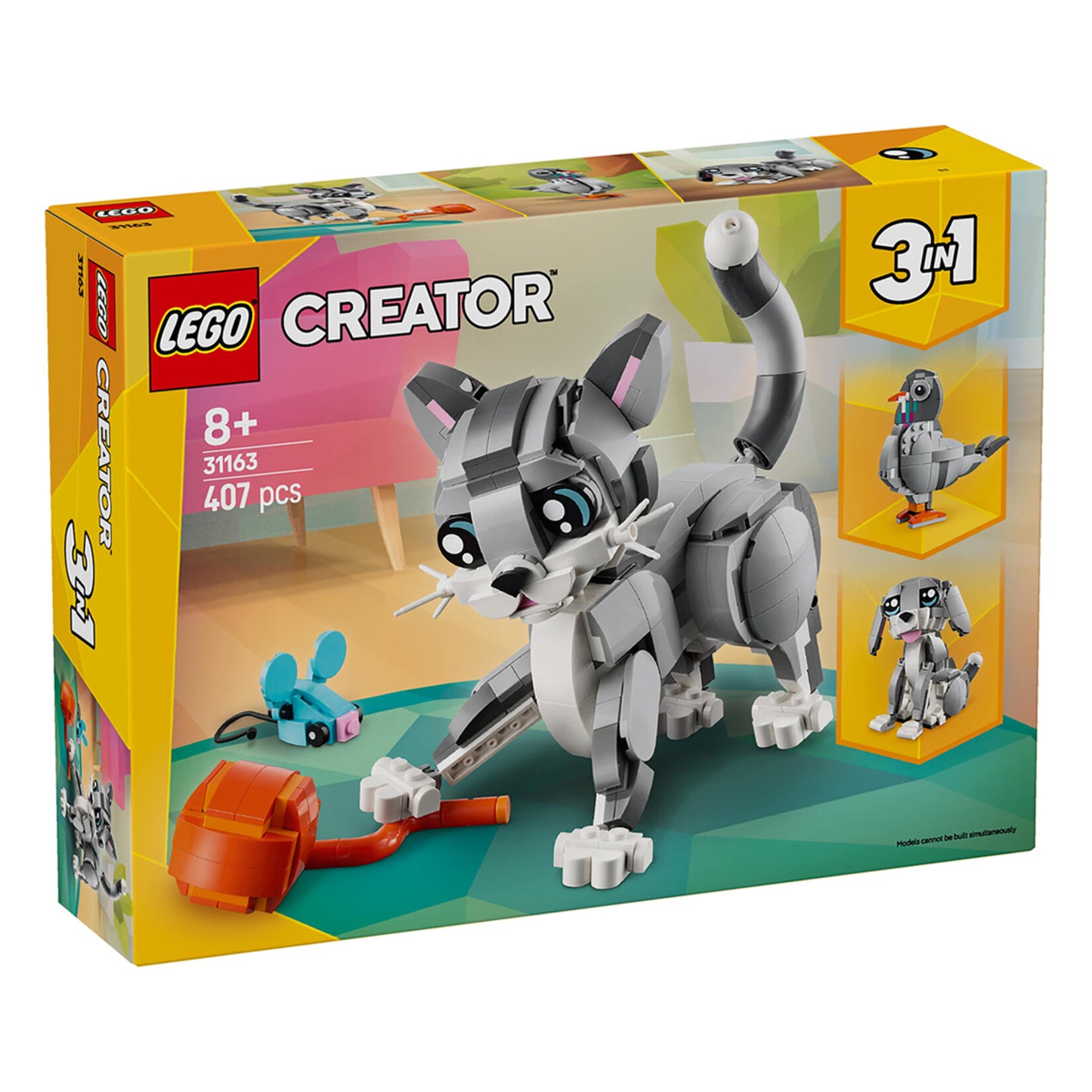 31163 Playful Cat