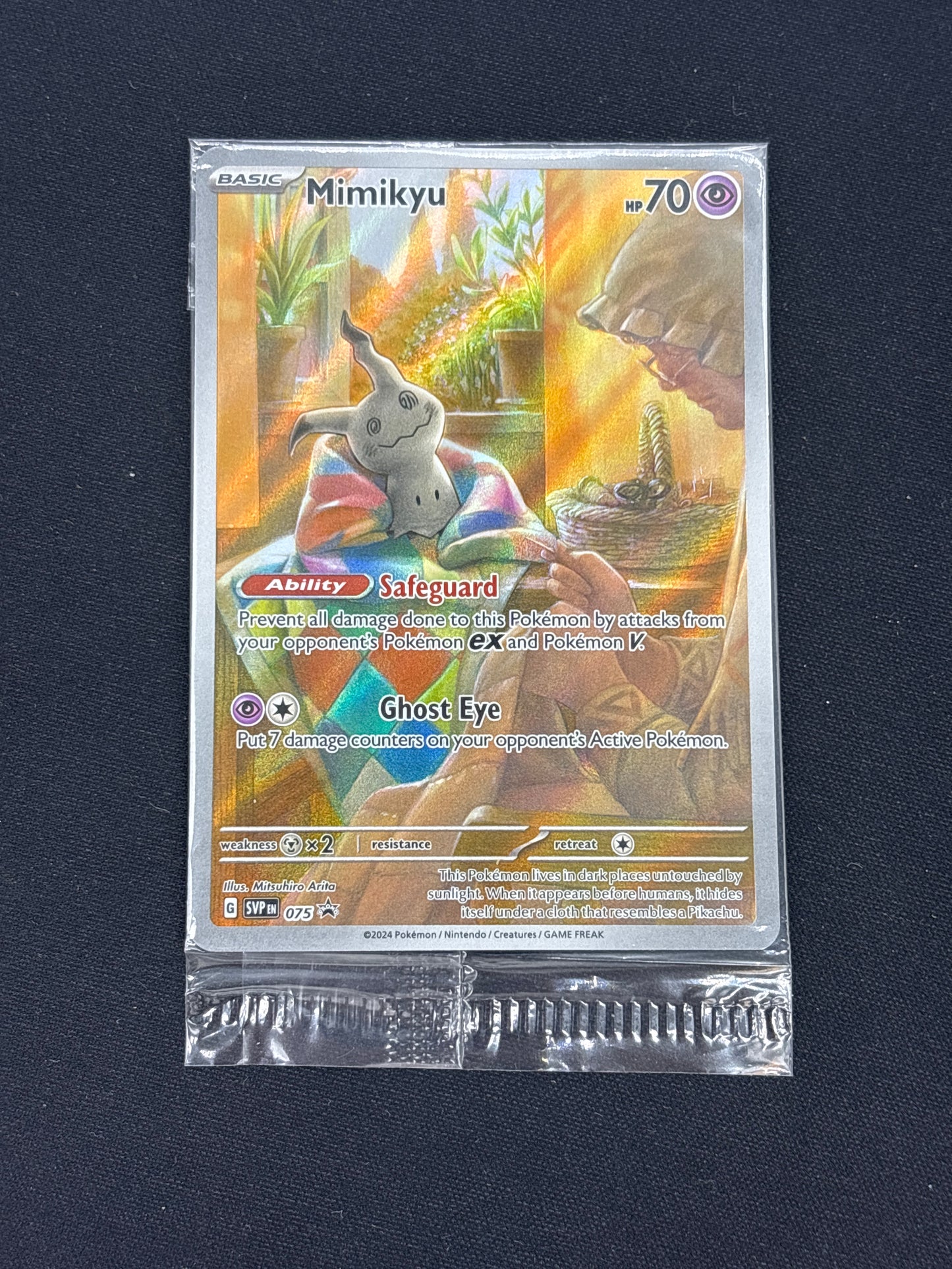 Auction Lot 16: Minikyu ETB Promo Card Sealed