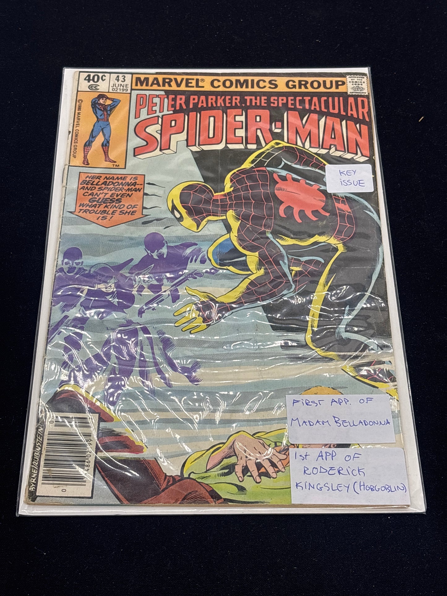 Auction Lot 244: Comic Book Peter Parker The Spectacular Spider-Man Volume 43