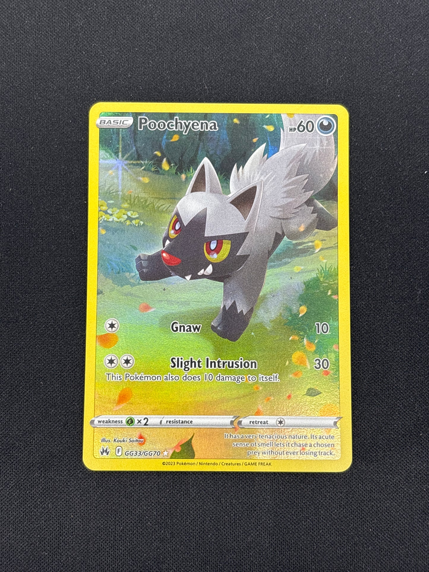 Auction Lot 160: Poochyena Galarian Gallery Pokemon Crown Zenith Card Conditions Vary